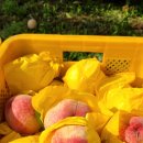 억만농장 이미지