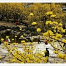 축제코스 이미지