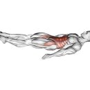 신세계 스포렉스 이미지