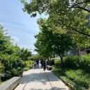 에이프릴펫 | [서울/공릉] 공트럴파크 아늑한 카페 찾는다면 &#39;에이프릴사워&#39;