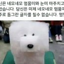 동글동글