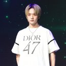 도의 이미지