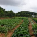 상용보건진료소 이미지