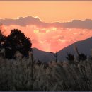 하늘공원 이미지