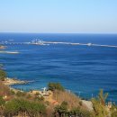 숲속의바다 바다동 이미지