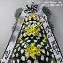 광주정품화환배달 이미지