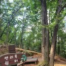 반남박씨묘역 | 동탄 반석산, 알콩달콩 유아숲, 큰재봉 까지 가을 산책