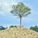 제주 아라동 신상 카페 플랜트827 공항 근처 대형카페 족욕체험