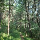 노당1리 이미지