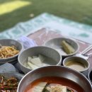 금남멧돼지 이미지