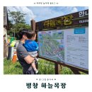 한땀목장 | 평창 하늘목장｜먹이주기체험·평창 하늘카페 아이스크림 후기·주차 총정리