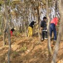 마태농장2 이미지