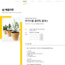 청춘마루 반려식물 플랜팅 클래스 참여 후기