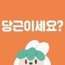 대일마켓