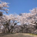 대발령 1쉼터 이미지