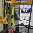 운동의 계절 이미지