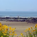 바다풍경 이미지