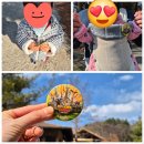 비룡분식 | [용인] 32개월 & 6개월 아가와 함께 에버랜드 in 워킹 로스트밸리와 즐긴 후기