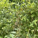 아랑민박 이미지