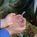 산에들에농장 네이버블로그