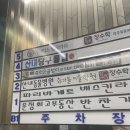 산내동물병원 | 운정산내동물병원 강아지 스케일링 내돈내산 후기