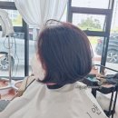 제니앤테오