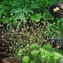 두메산골 농장 이미지