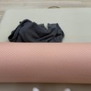 DS 피트니스 | 삼봉지구PT 받으러 DS피트니스 갔다가 인생조언 들은 후기