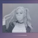 올리올리 티스토리