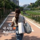 [직장인일상] 내 사랑 복숭아의 계절.
