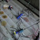 미파유치원 이미지