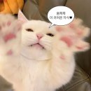 세븐일레븐 나주혁신부영점 | 모든게 사라지는 계절