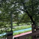 우리세탁 | 은평구 마사지 권노희약손마사지 ! 응암동 산후마사지 추천