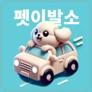 애니네 반려견 미용실 이미지