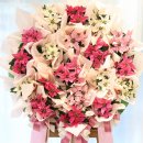 김종희농장 이미지