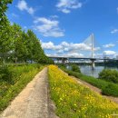 품에 고모리A | 여기 몰랐다면 손해! 구리한강시민공원 텐트 치고 수국에 빠진 하루🌸