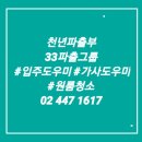 천년파출부