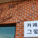 카페그꽃 이미지