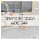 스테이아르크 이미지