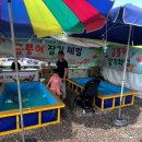 【축제 후기】 춘천 닭갈비 축제 후기 / 닭갈비 싸게 먹는 꿀팁 / 춘천 막국수 닭갈비 축제