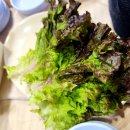황금어장 | 노량진 횟집 바닷장어 모둠회 쭈꾸미로 단체 모임 상차림 식당 맛집 황금어장 이용후기