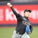 배영수 카카오 검색결과