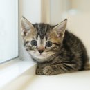 보은메디칼 이미지