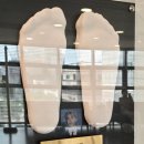 신안 Good feet 앞 | 맞춤깔창 메디풋 7개월, 시디즈 2년 내돈내산 사용용후기 (feat. 후경골건 기능부전)