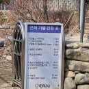 양평목장 | 양평양떼목장 내돈내산 솔직후기 양과 알파카 먹이체험