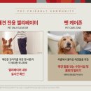 호텔라피네 이미지