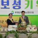 보성마트 - 보성군 | 보성마트