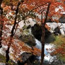 JIRI VALLEY 이미지