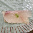 석적참물회 이미지
