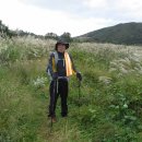 운제산장 이미지